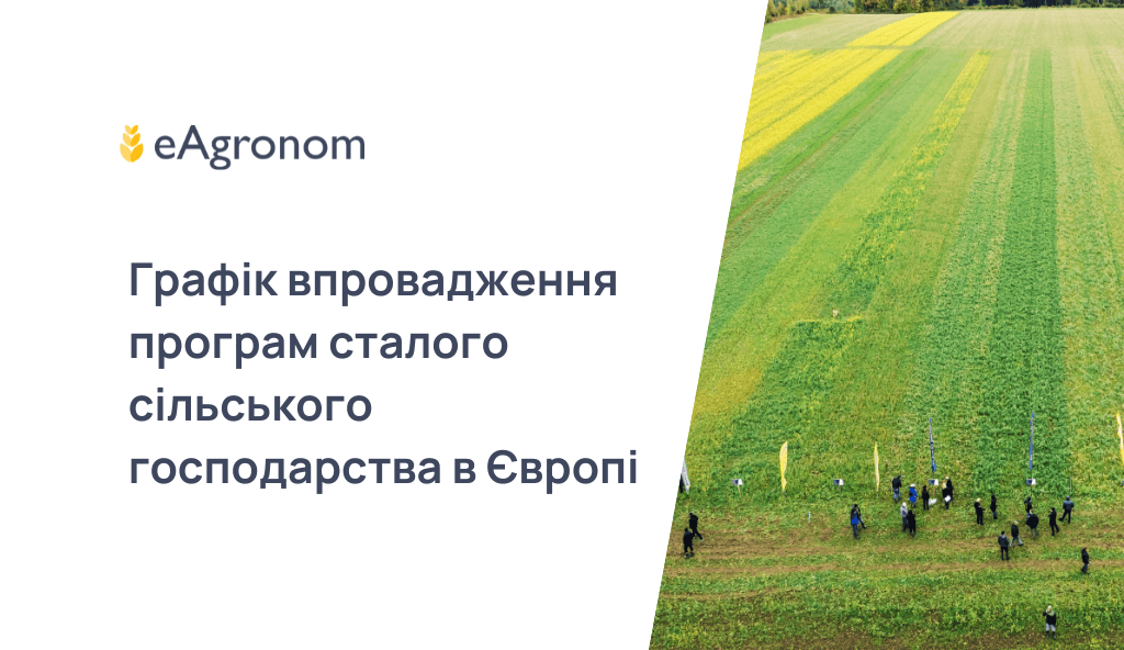 Хто купує квоти на викиди вуглецю і чому — огляд