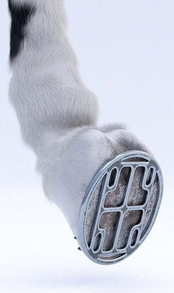 Black and white portrait of a smiling person with curly hair