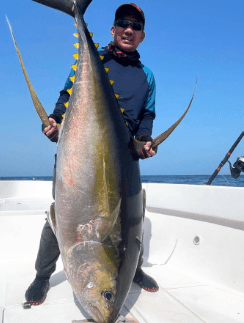 Oman, tun, yellowfin, popper, kastefiskeri, båd