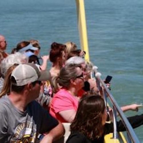 Slowing down to look at the wildlife