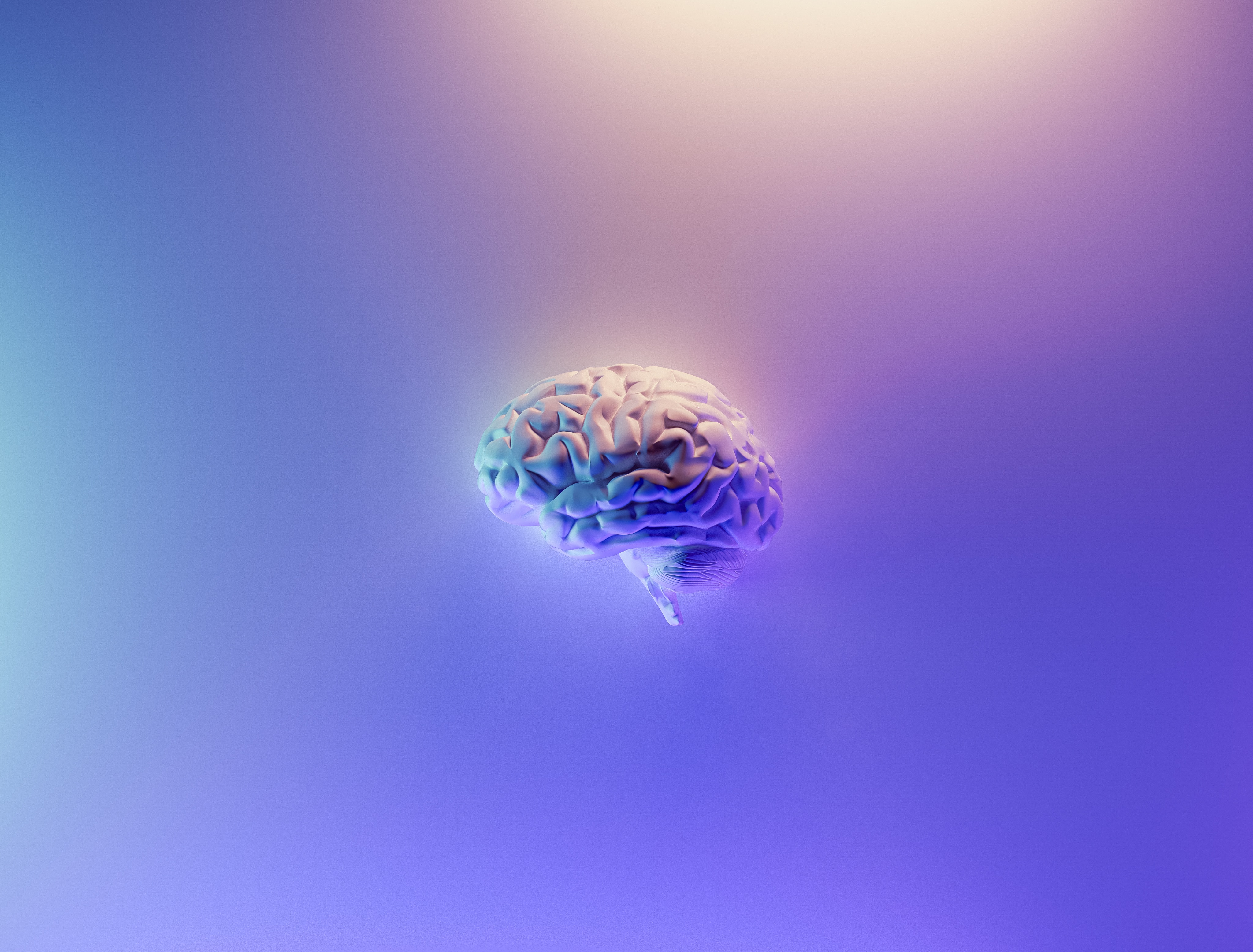 Non-informational image of a 3D rendering of a white brain illuminated in shades of purple, light blue, and peach