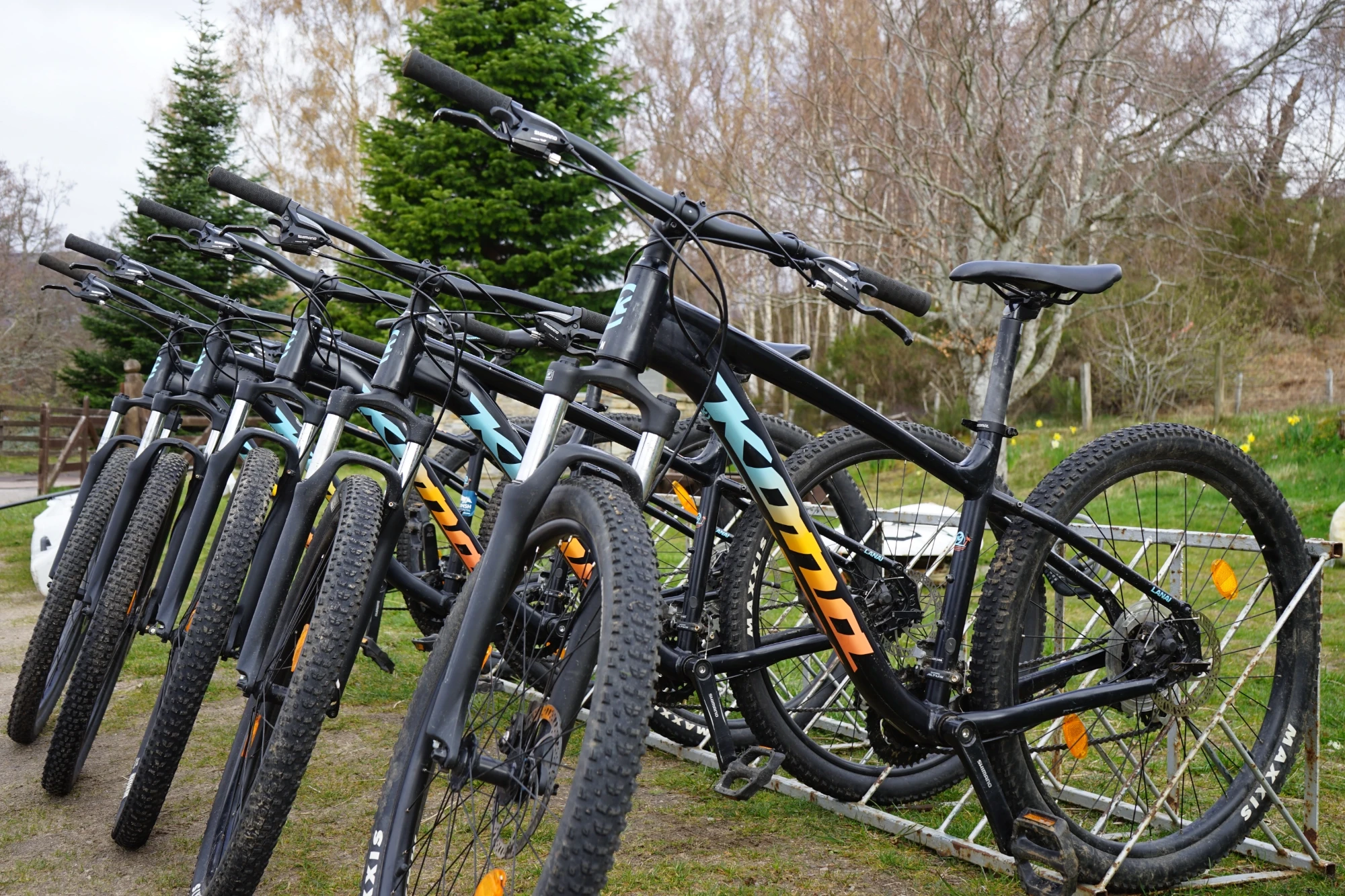 5 mountain bikes stand up in a bike stand in front of a background of grass and trees