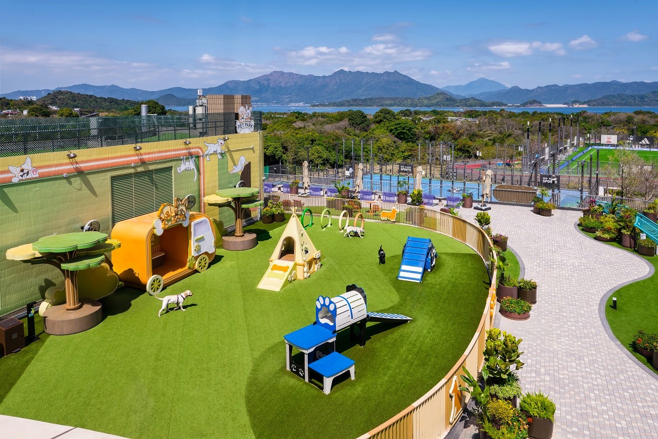 School Design School Renovation Building 校園升級 學校裝修 翻新學校 學校設計 學校工程 保養校園