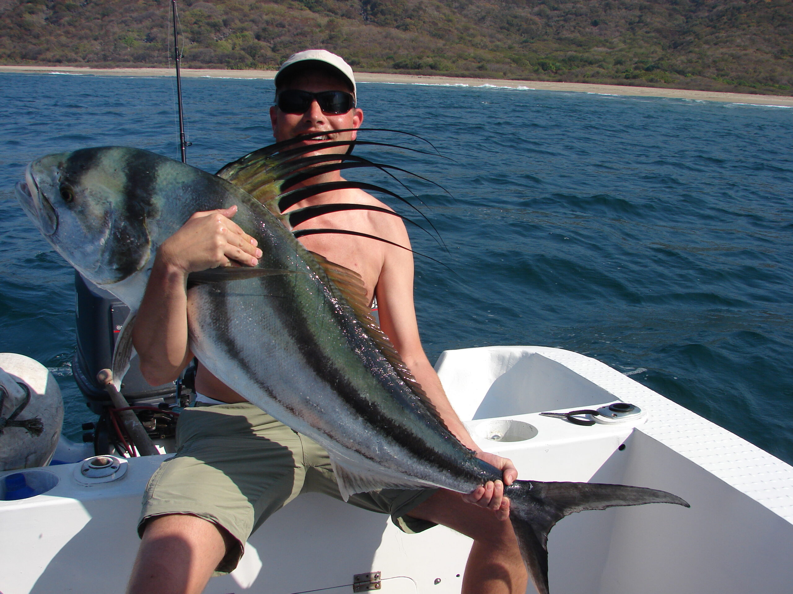 Mexico, sailfish, rooster, mahi mahi