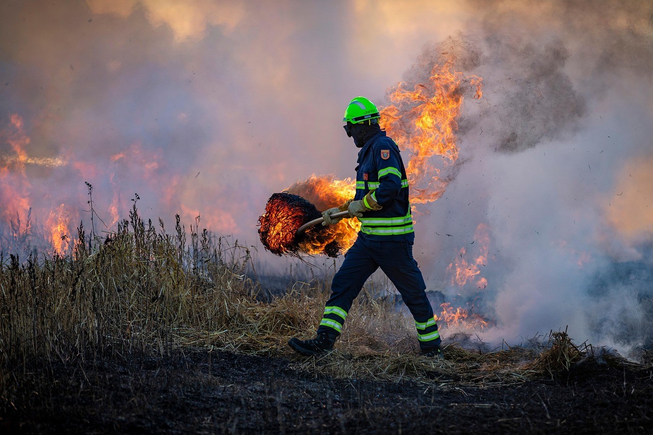 Designing Bushfire-Resilient Homes in Victoria