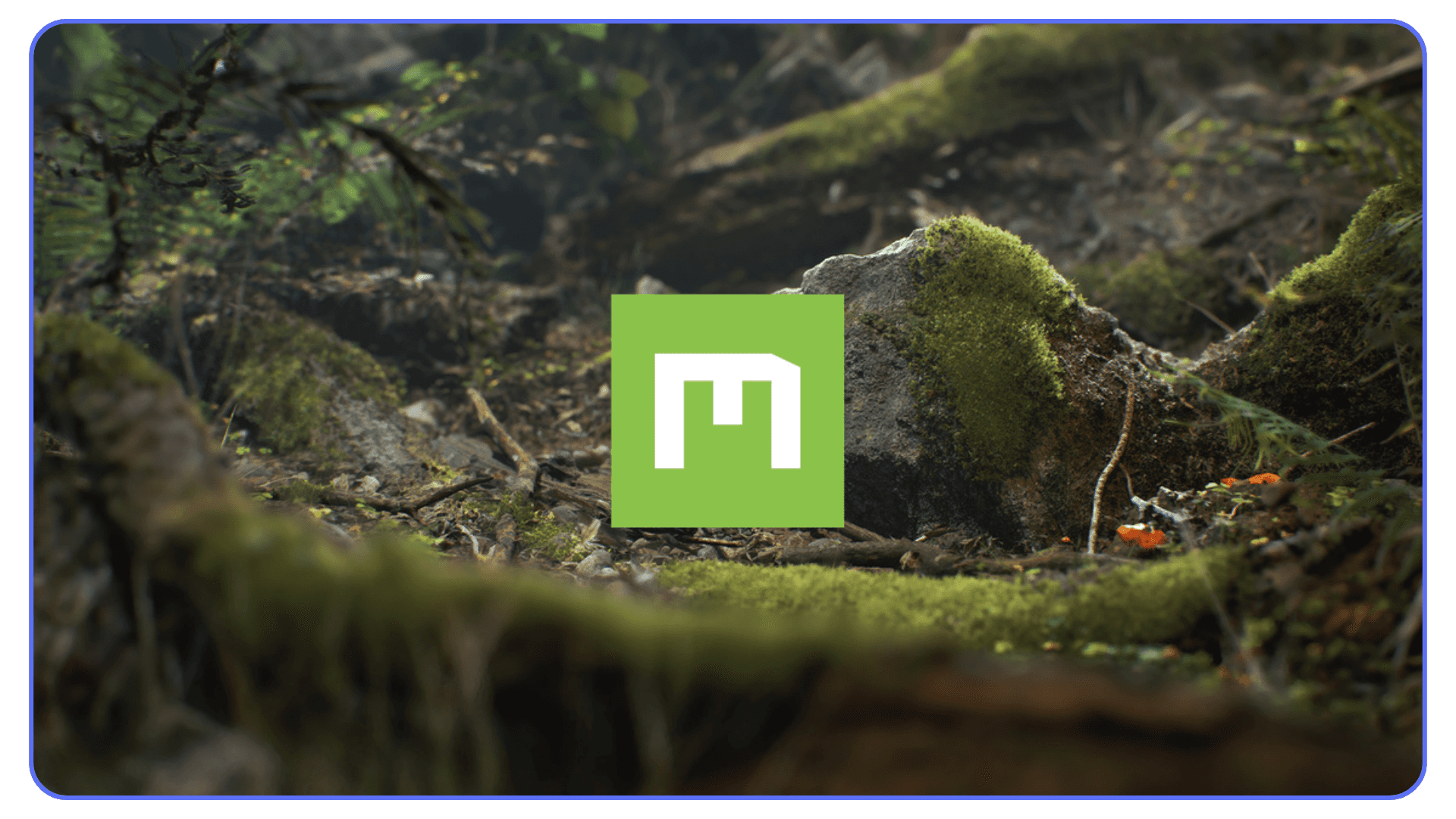 Megascans forest environment with moss-covered rocks and photoreal plants.