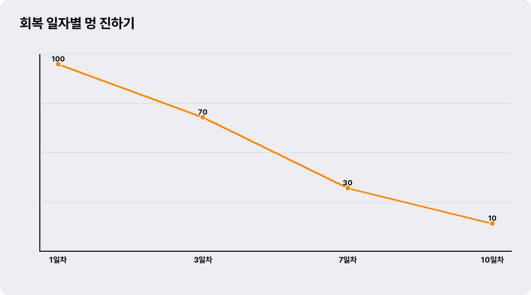 회복 일자별 멍 진하기