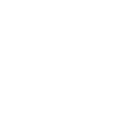 Next Arrow