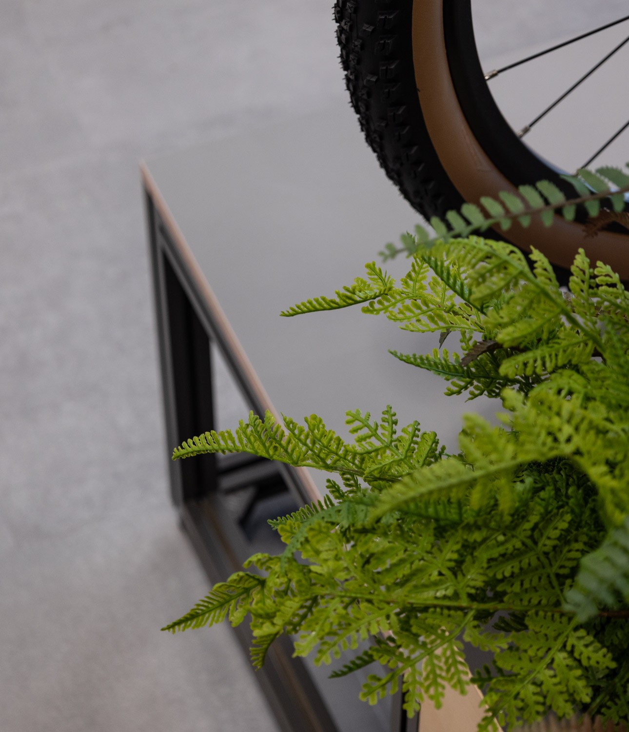 Giant Bikes Brand Store