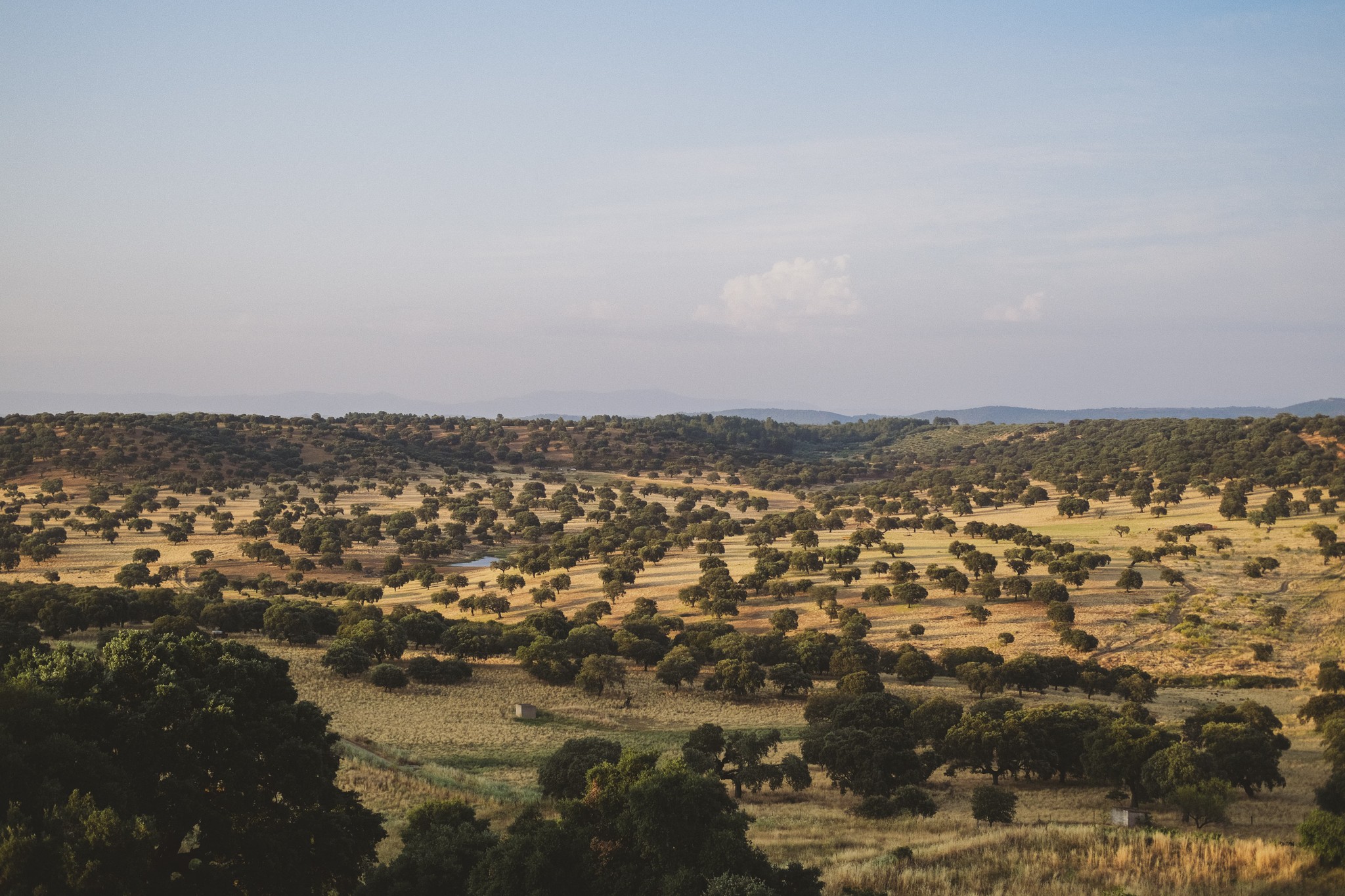 Clean and spacious office