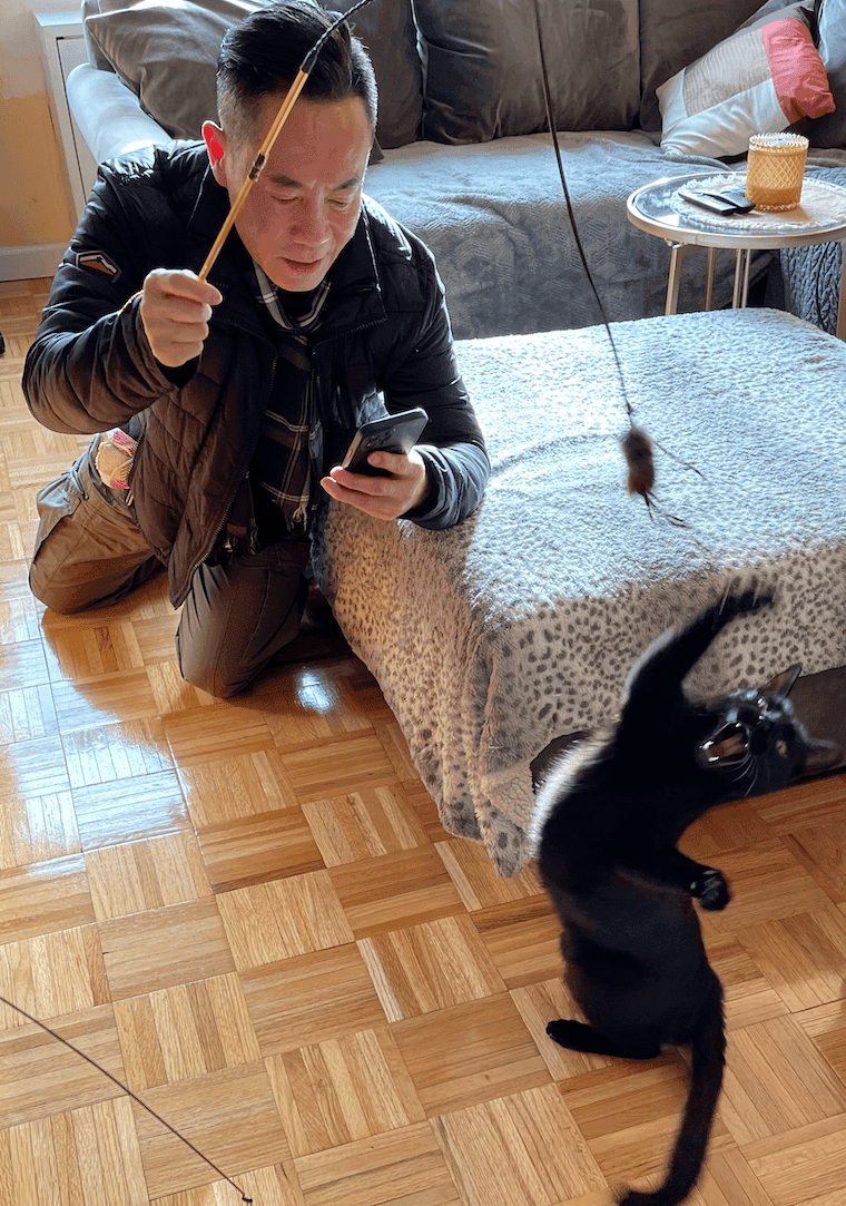 A Rescue Cat Gets a Second Chance – Meet Oatmeal!