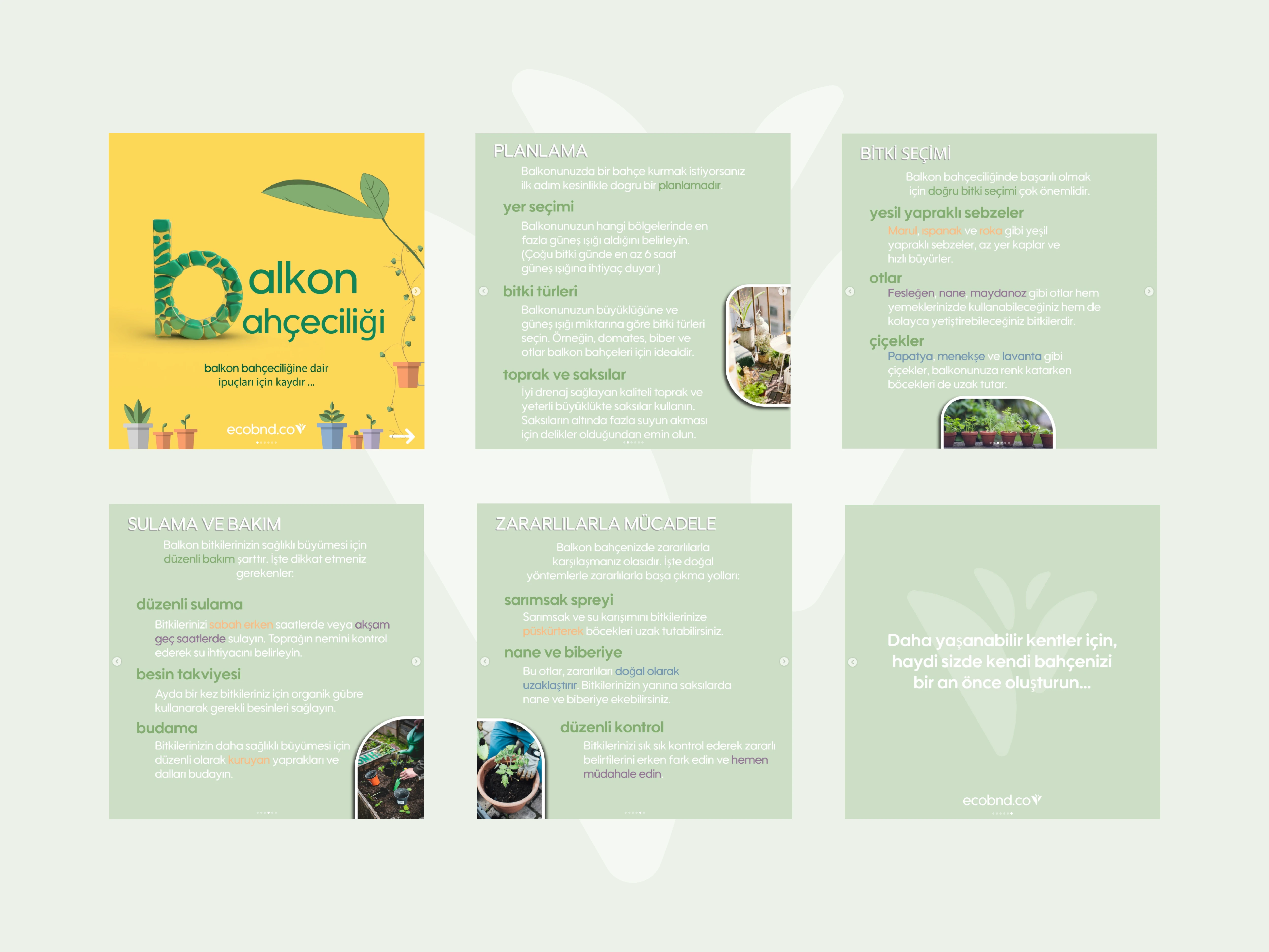 Sustainability social media design