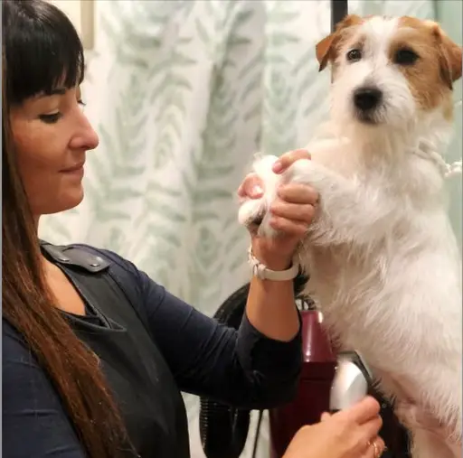 A person in a blacl coat and the brown hairs