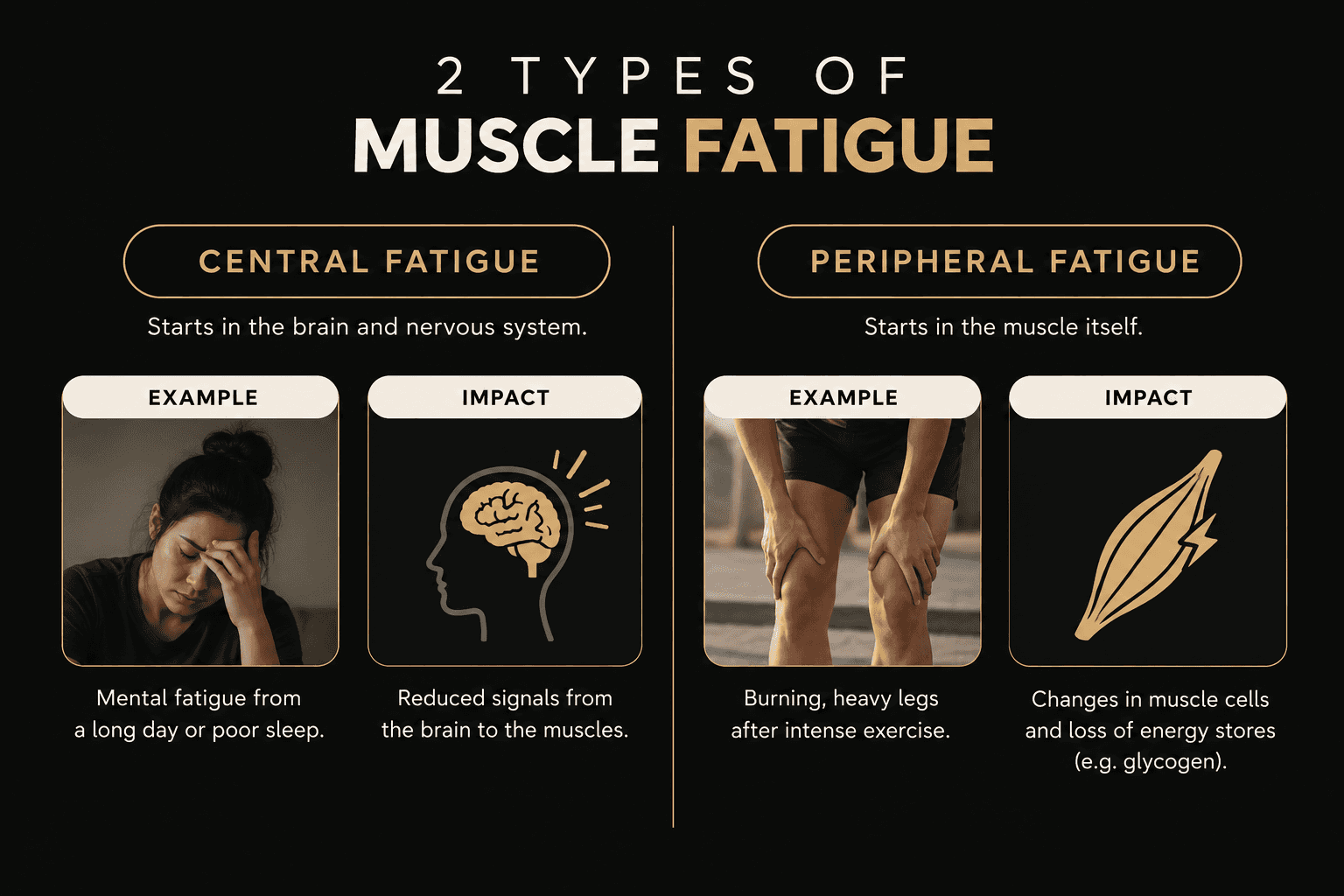 Infographic showing the two type sof muscle fatigue and its impact.