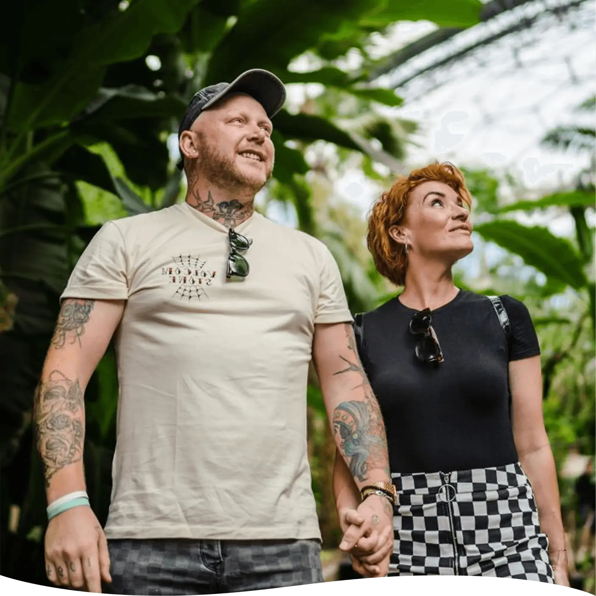 a group of white flowers with yellow centers