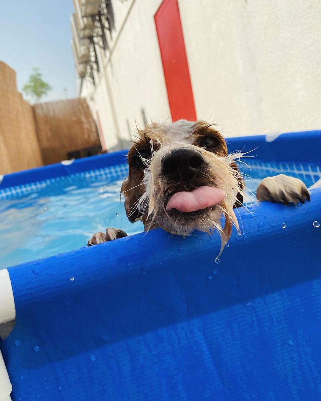 pool day