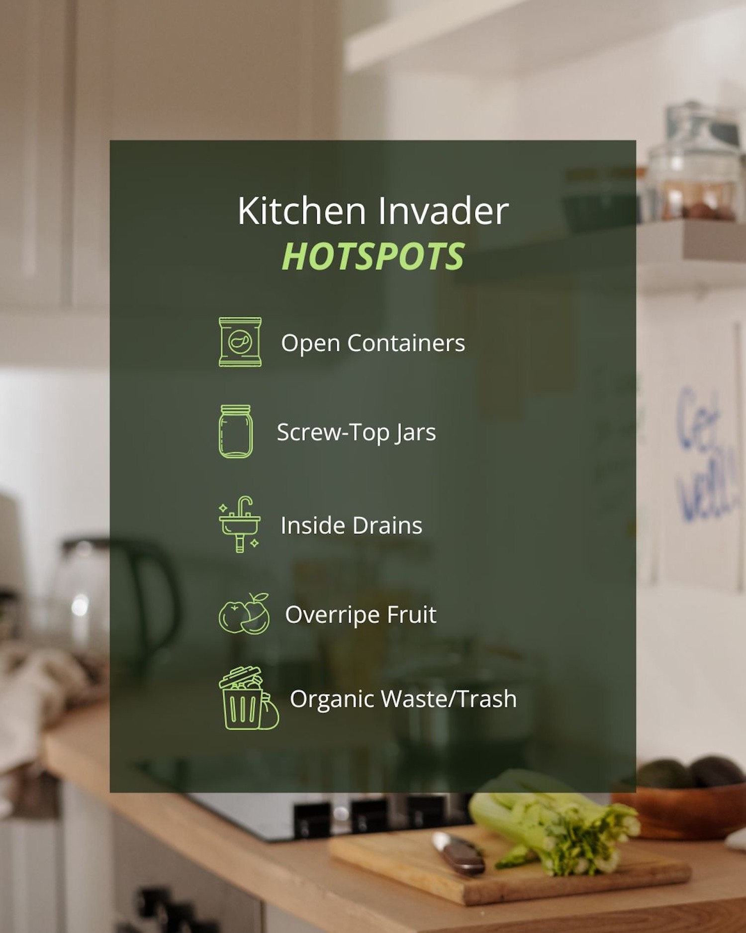 common places small black bugs hide in residential kitchens