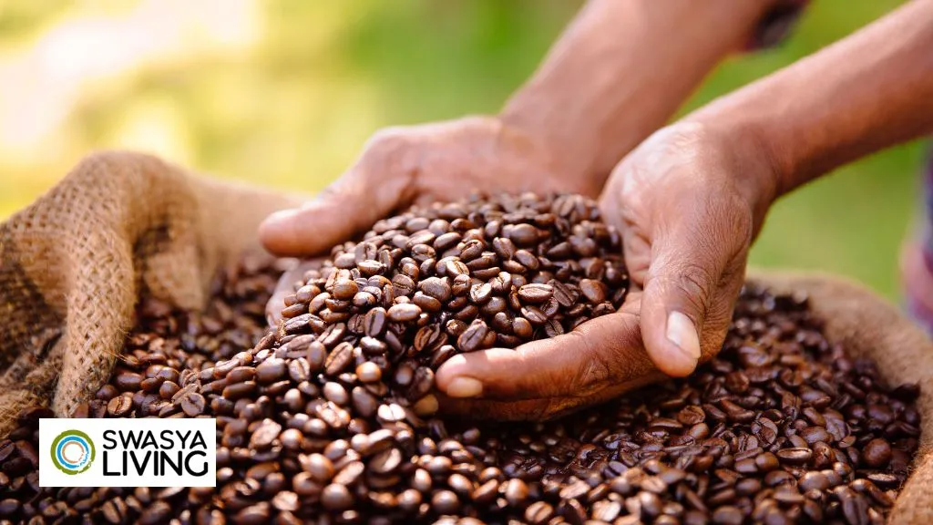  Best Coffee Beans in India