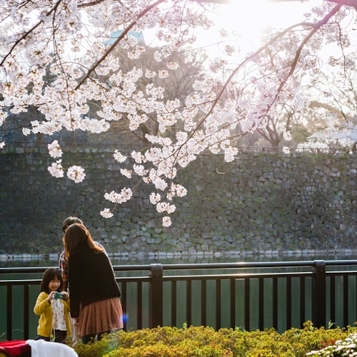 两名女性和一个孩子在黑色栏杆附近的樱花树下,阳光穿过树枝洒落。