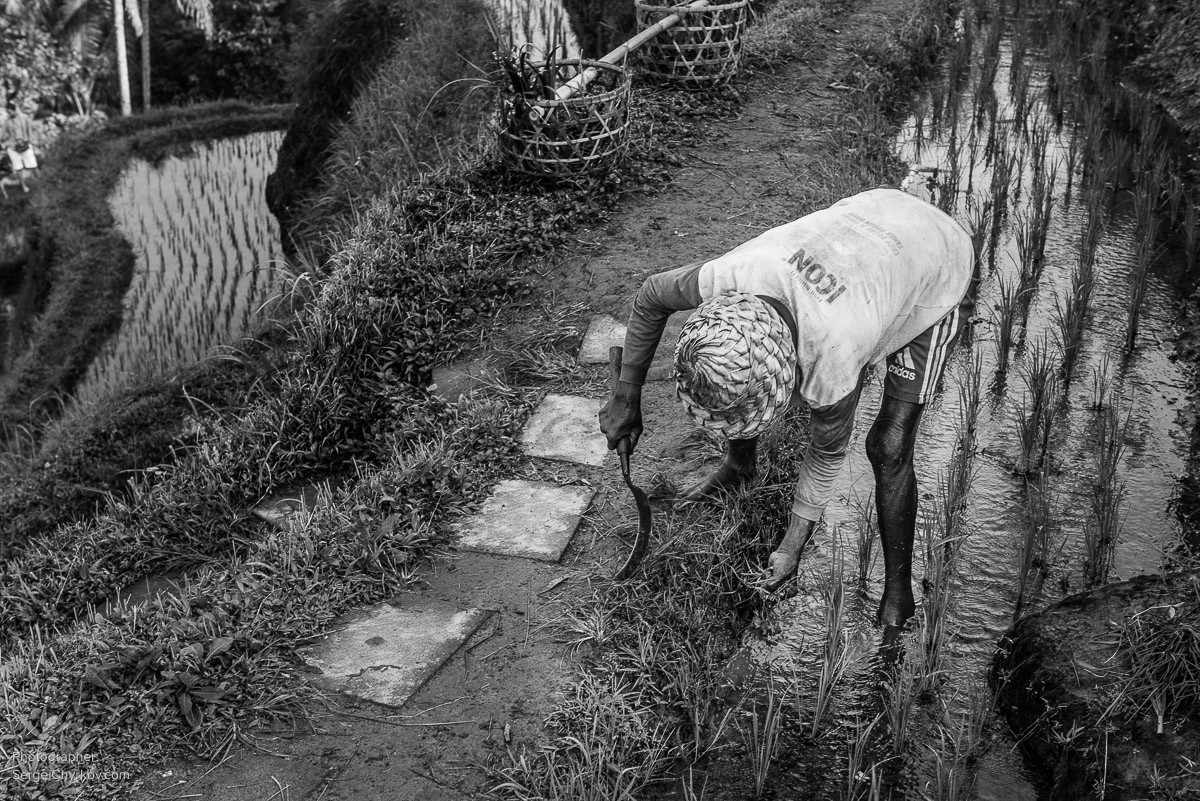 Bali by Sergei Chyrkov. Бали, фотограф Сергей Чирков