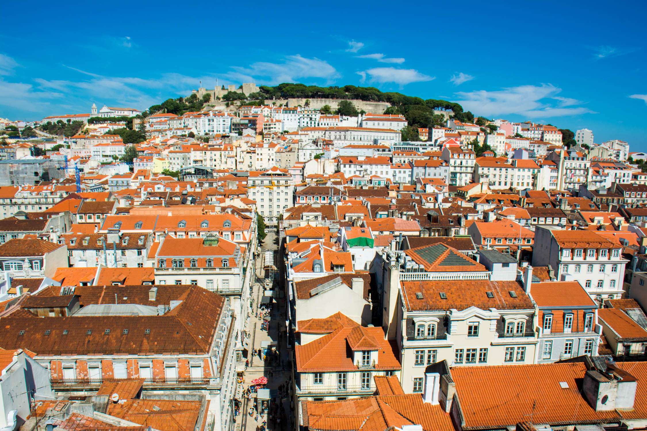 Dense terracotta rooftops blanket a hillside under bright daylight, contrasting with deep blue skies and lush green foliage crowning the elevated ground.