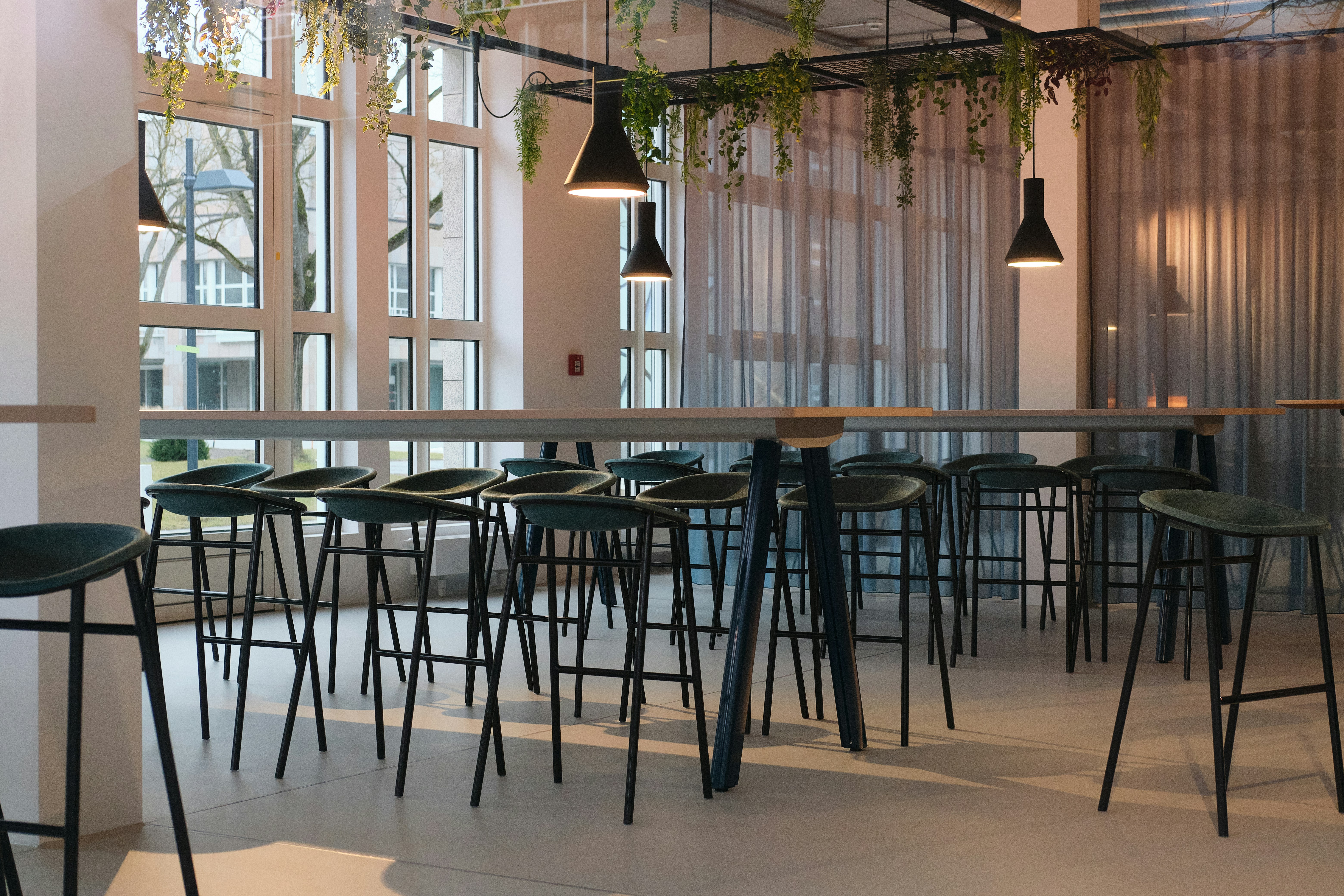 Modern bar with high stools and hanging plants