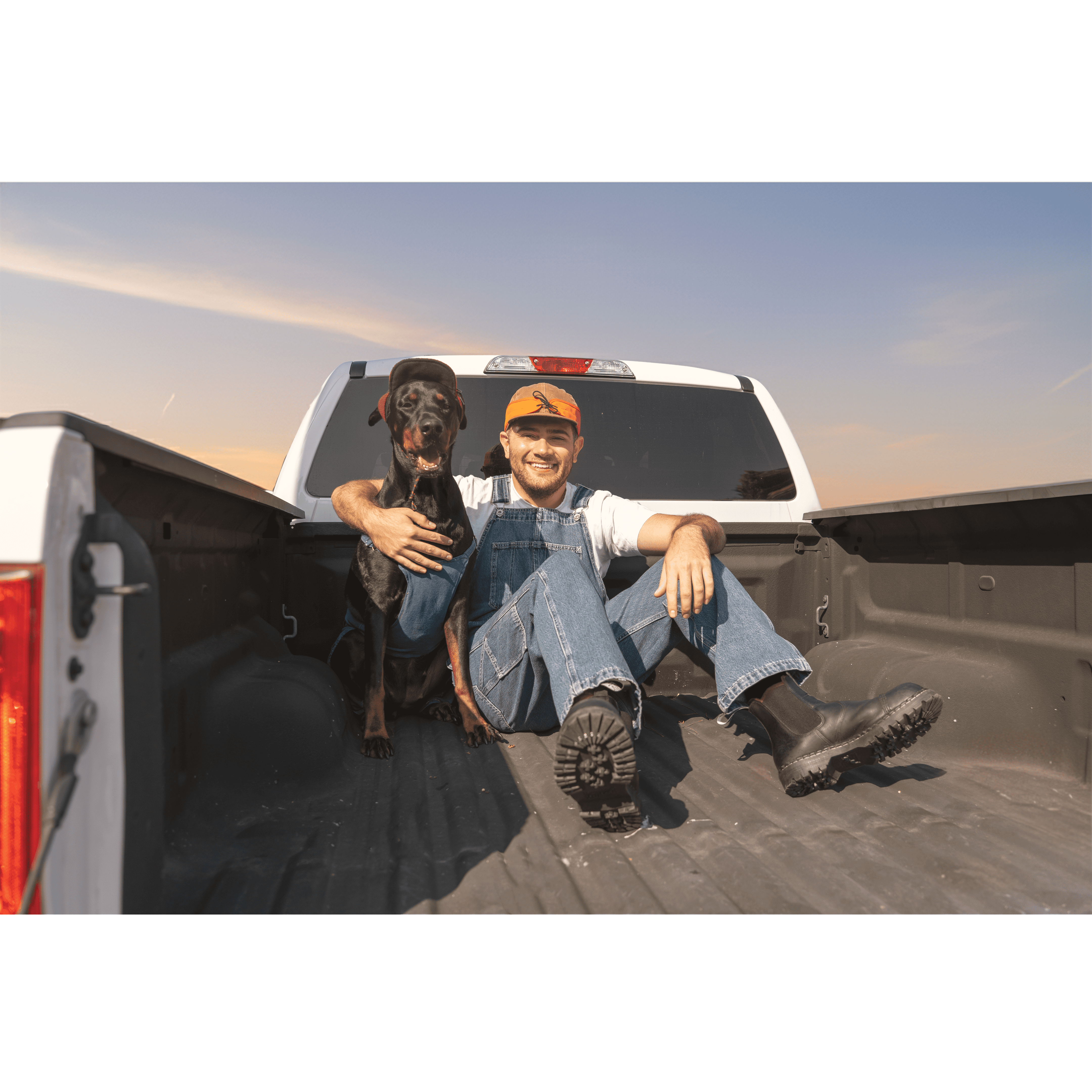 Tree branches reach towards a clear, blue sky.