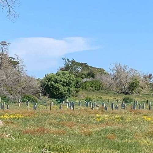 在种族隔离时期死去的政治犯墓地。