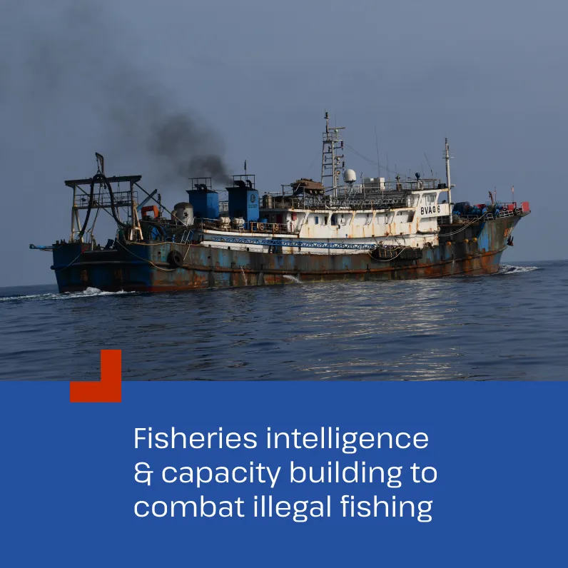 TMT Social Media post 9