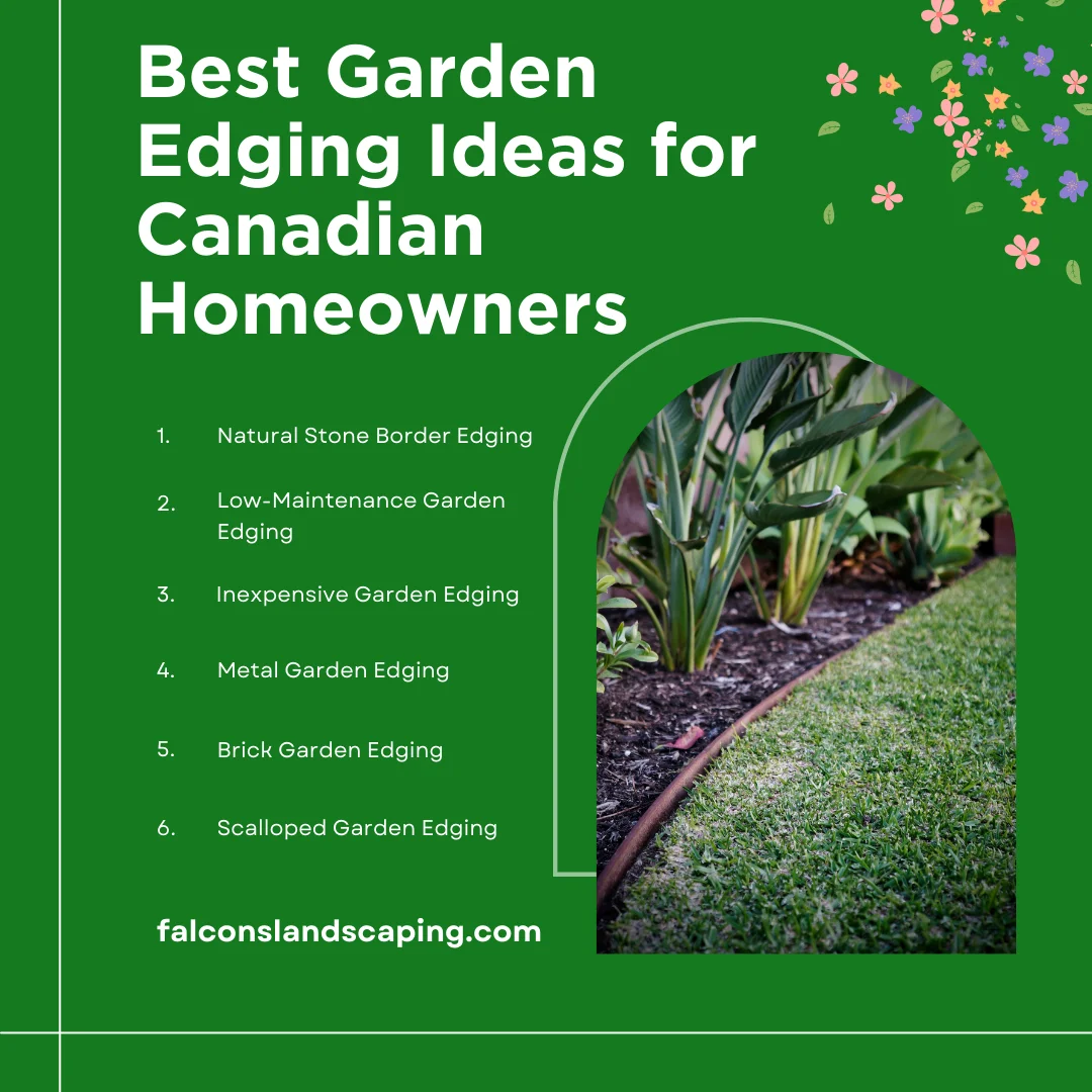 An infographic on the best garden edging ideas