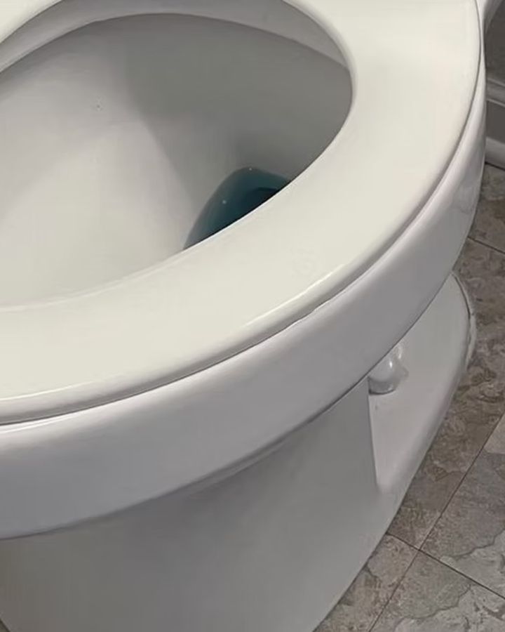 Toilet, after cleaning