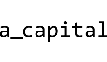 Investor