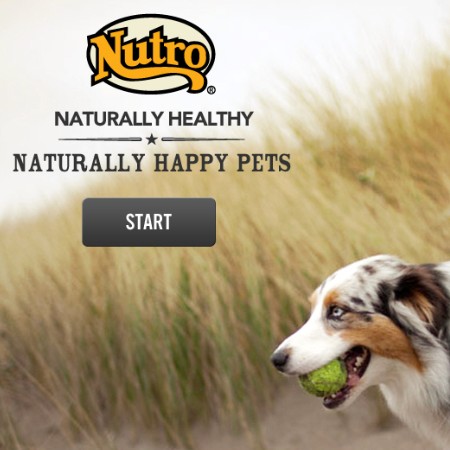 Nutro Pet Sales App