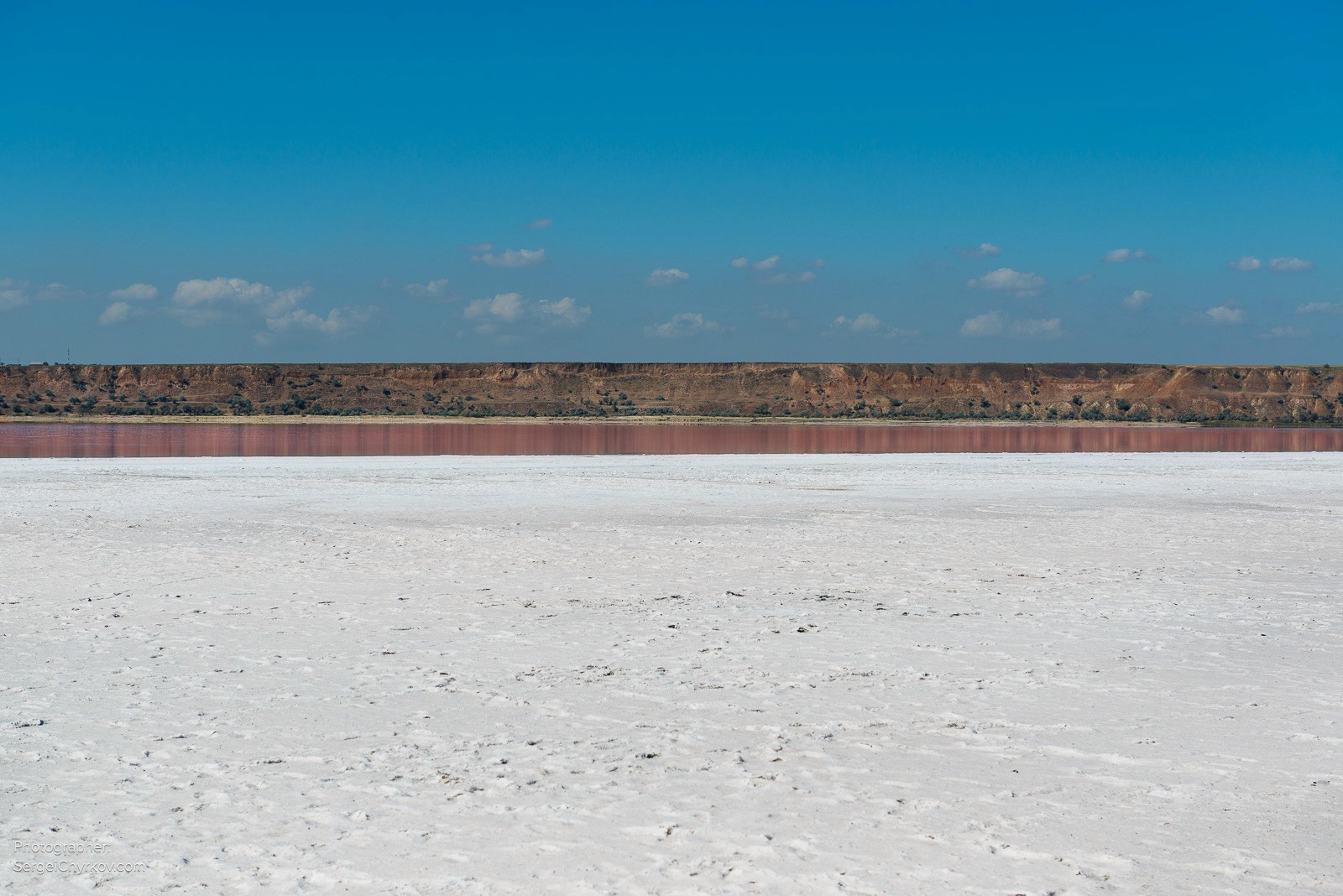 Одесский Куяльник, розовое цветение. Фотограф Сергей Чирков. 