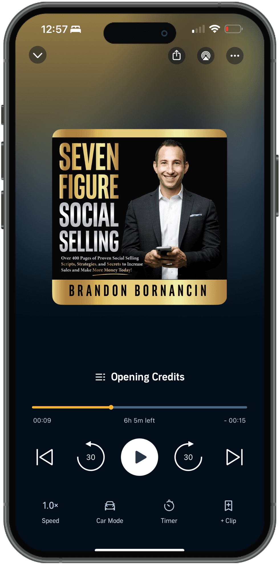 Phone mockup showing the audiobook