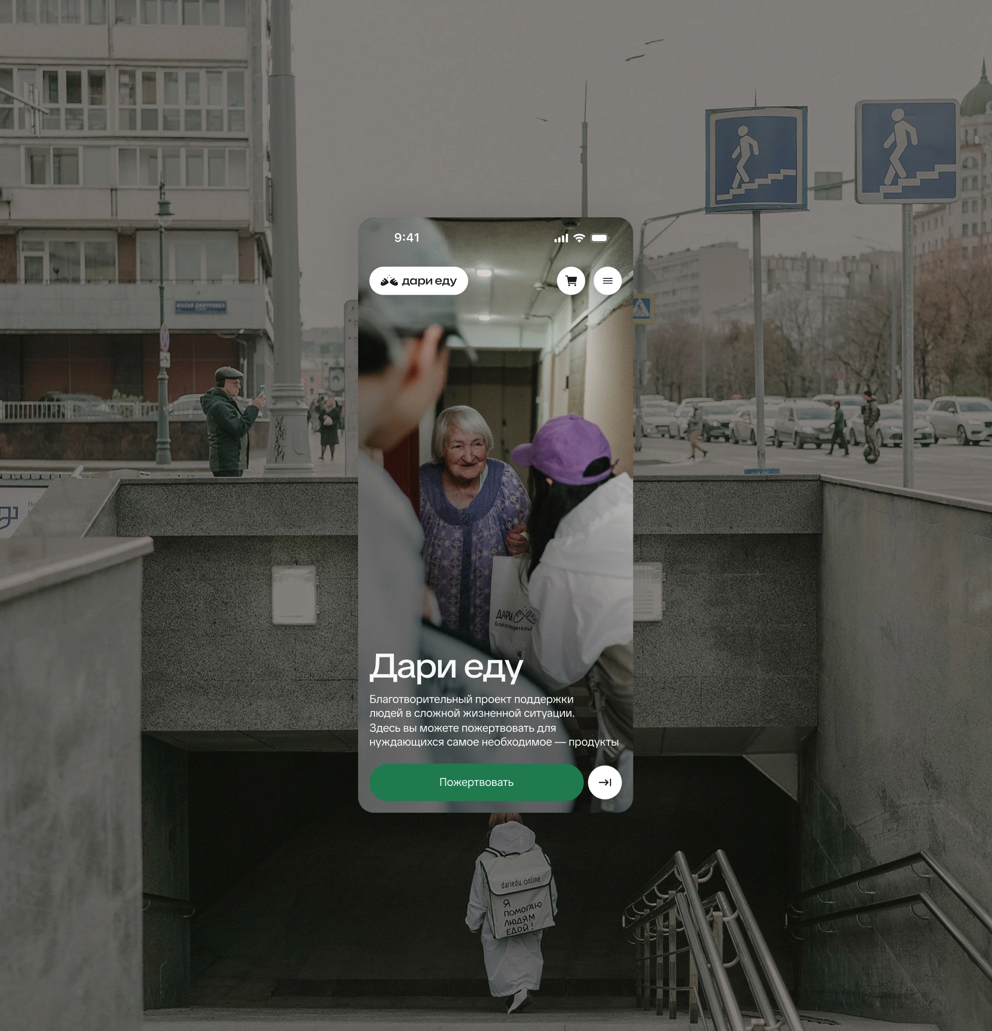 Olga Brand portfolio website case study cover