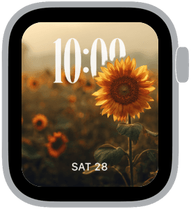 sunflower fields Apple Watch face preview 2 featuring floral and summer.