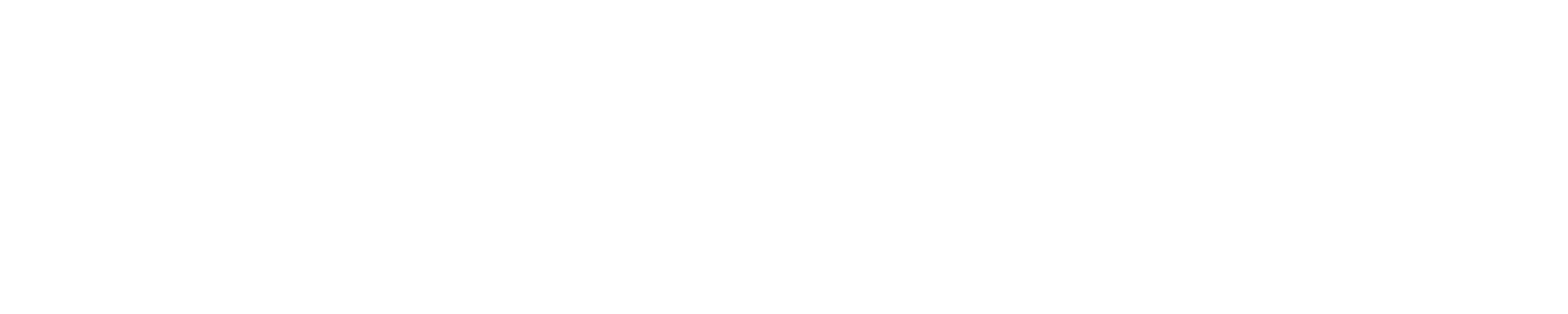 Whips N Flights Logo