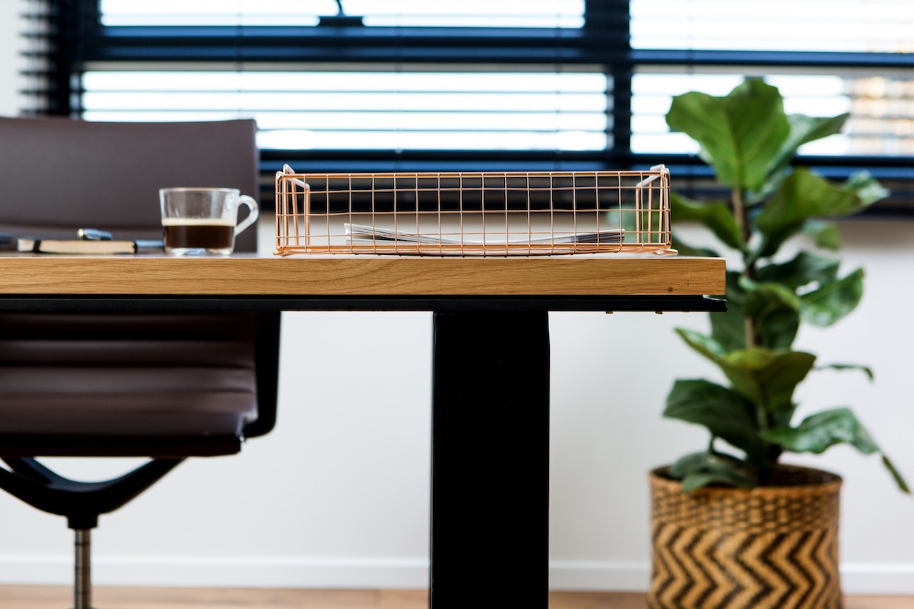 עיצוב משרדי לרשת חינוך – שילוב מיתוג קיר, תכנון אדריכלי נקי ותאורה טבעית