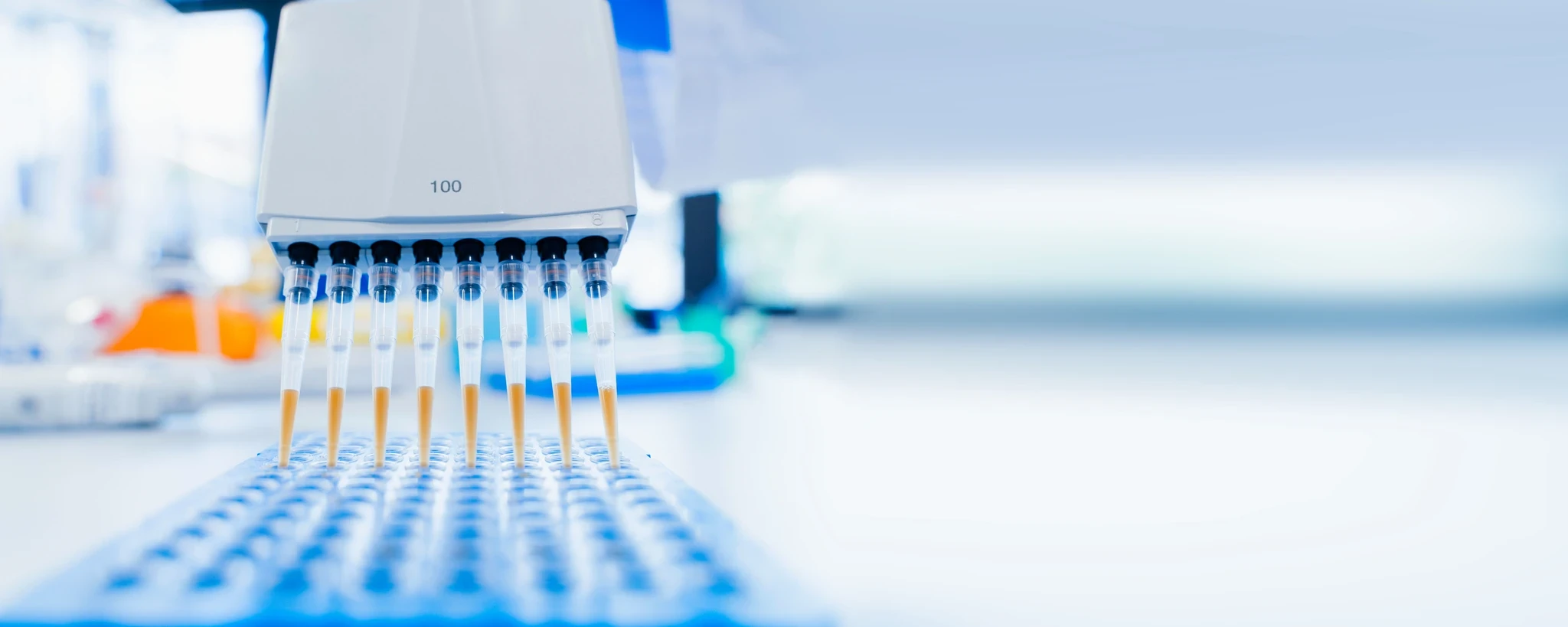 Eight-channel pipette with orange tips positioned over a blue microplate in a laboratory.