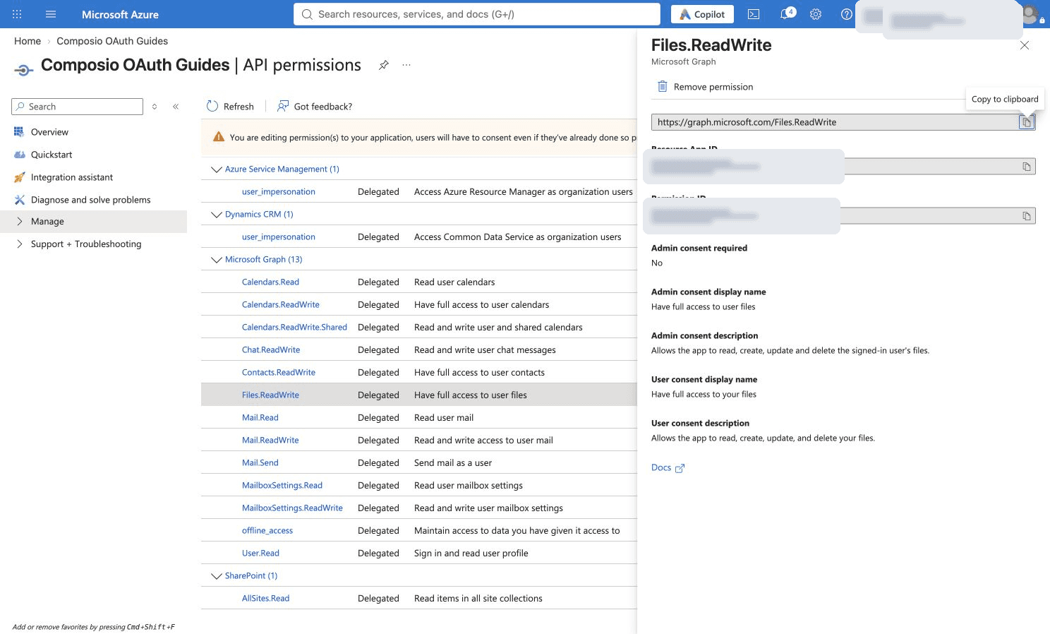 Configured Files.ReadWrite permission details