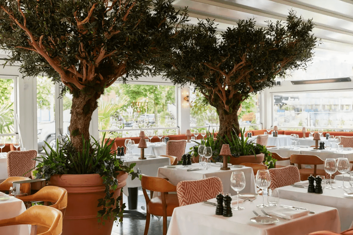 San Carlo luxury restaurant fit-out with olive trees, dining furniture and bespoke interior finishes