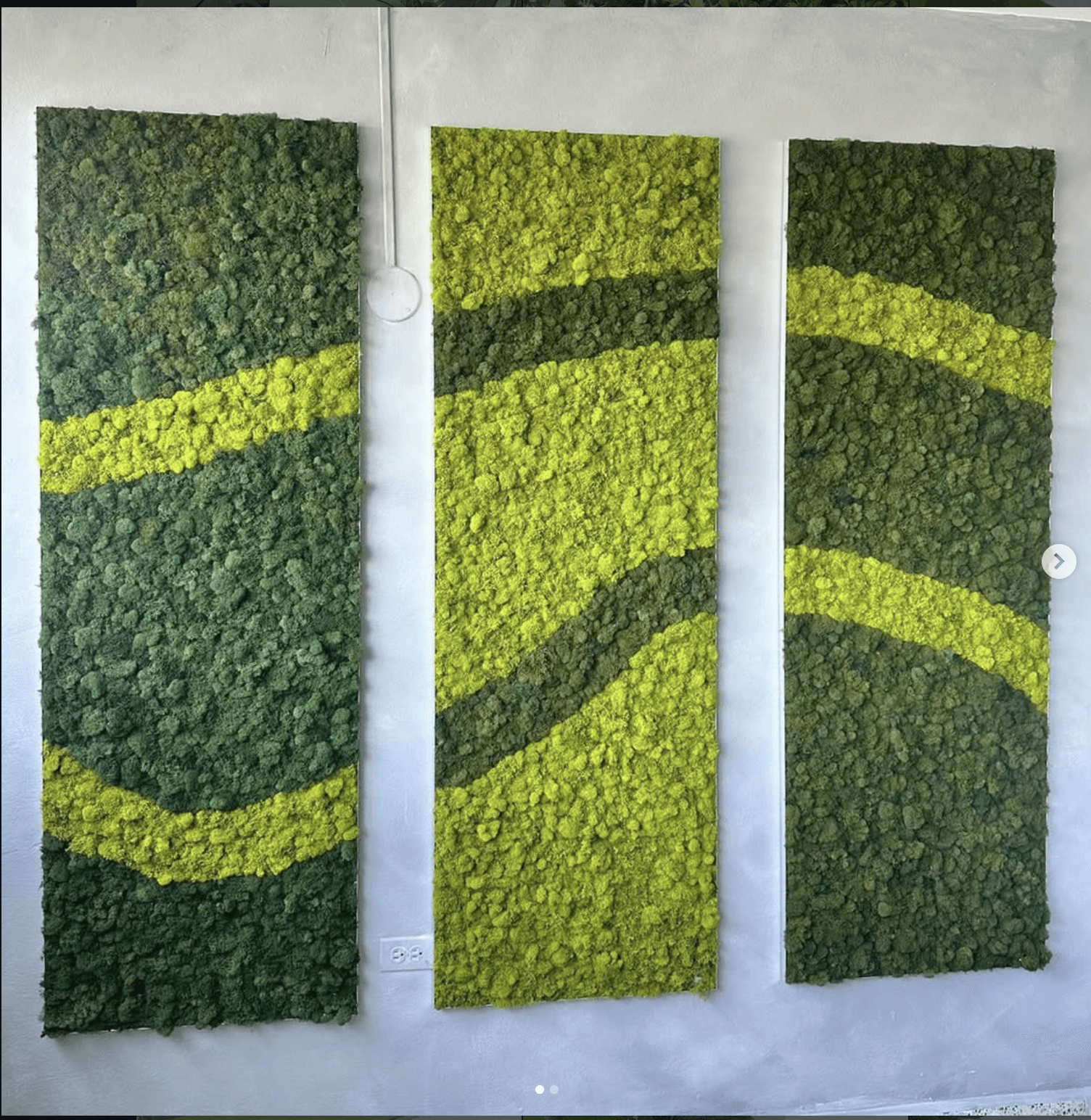 Creative video content production for Puerto Rico salon increasing brand authority and engagement.