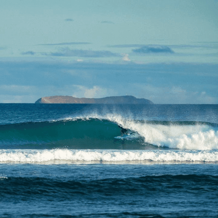 A surfer riding a wave on a sunny day – surfboard rental in maui