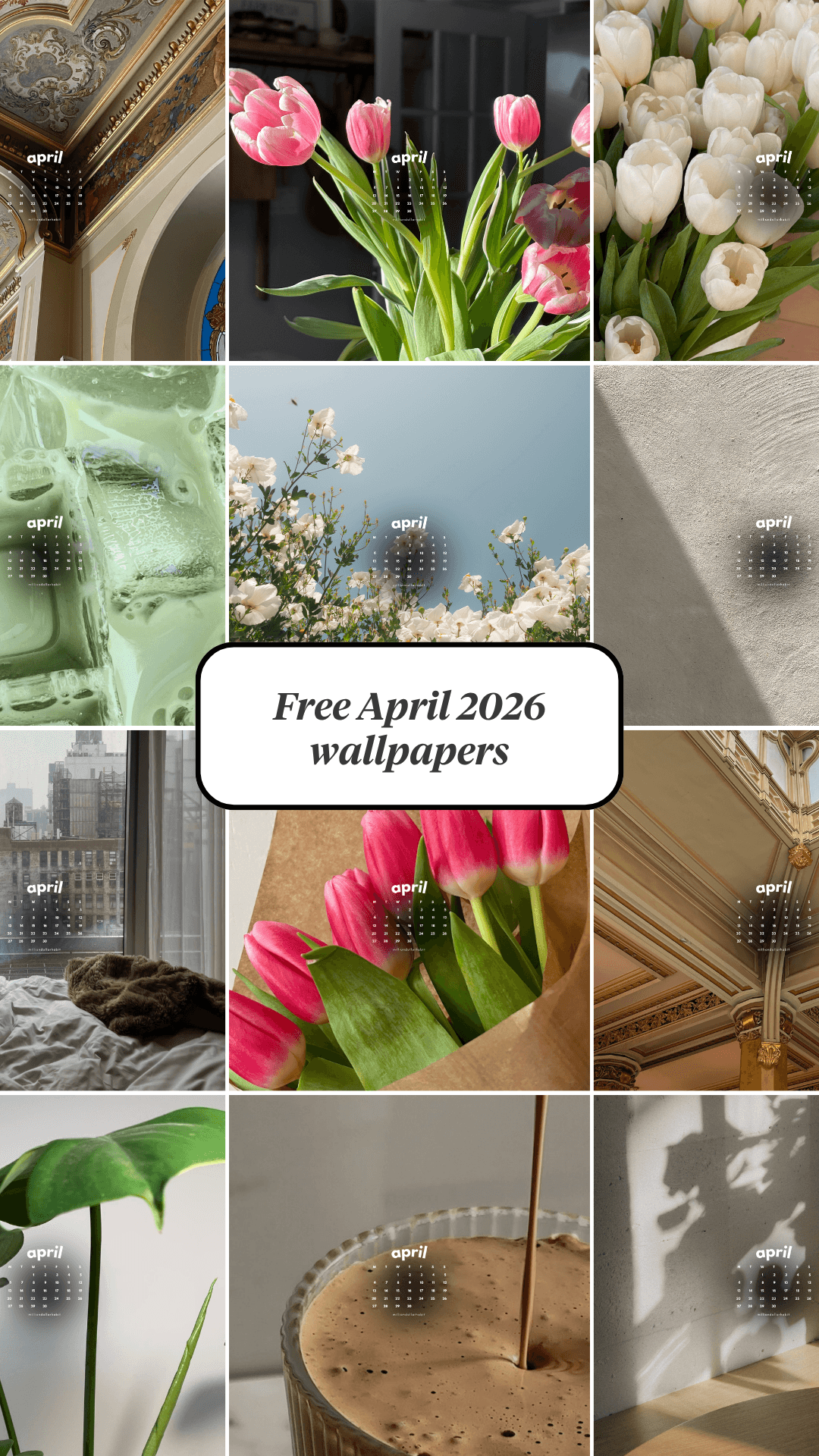 December 2025 wallpapers on desktop, iPad and phone, coordinating minimal tech