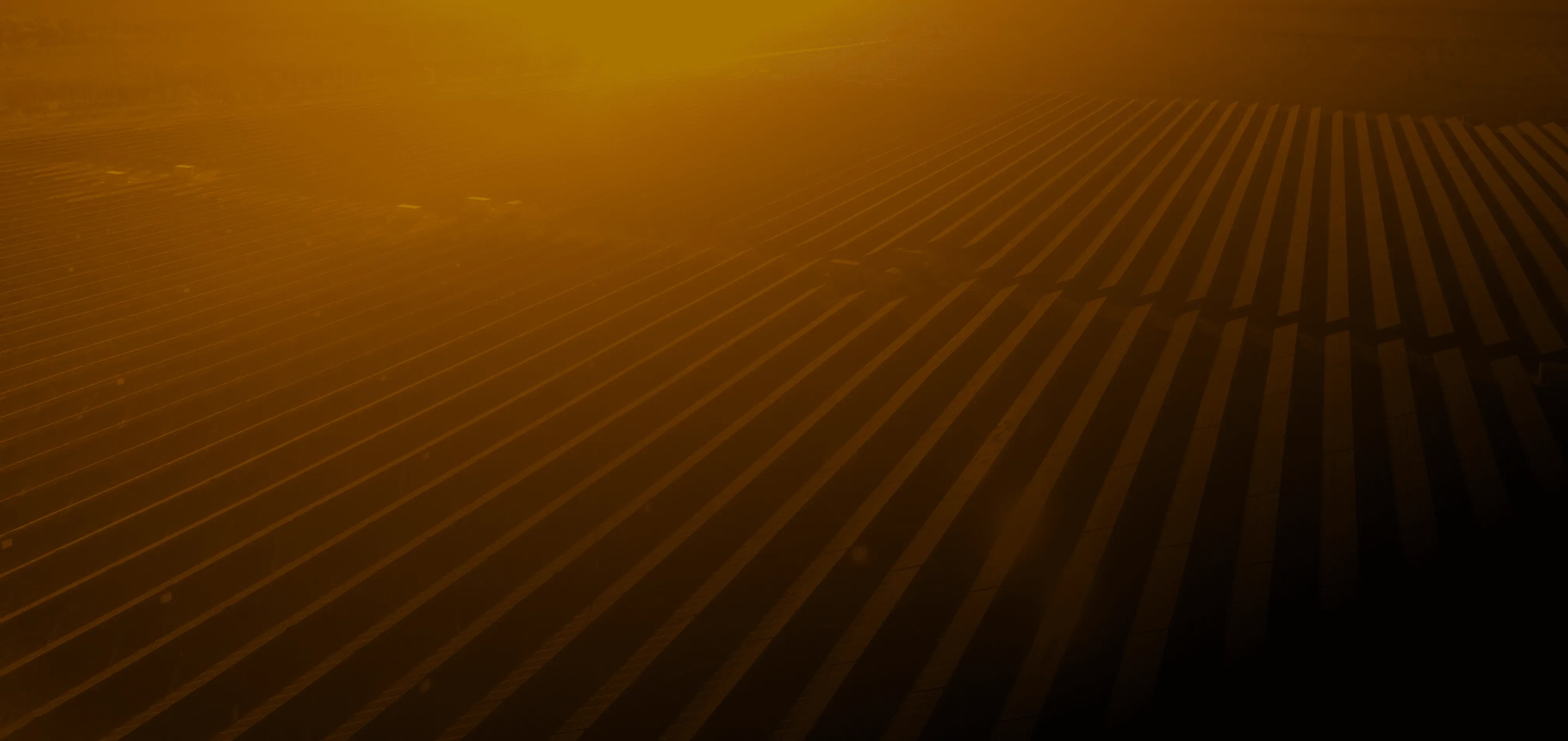 Visão aérea de placas solares 
