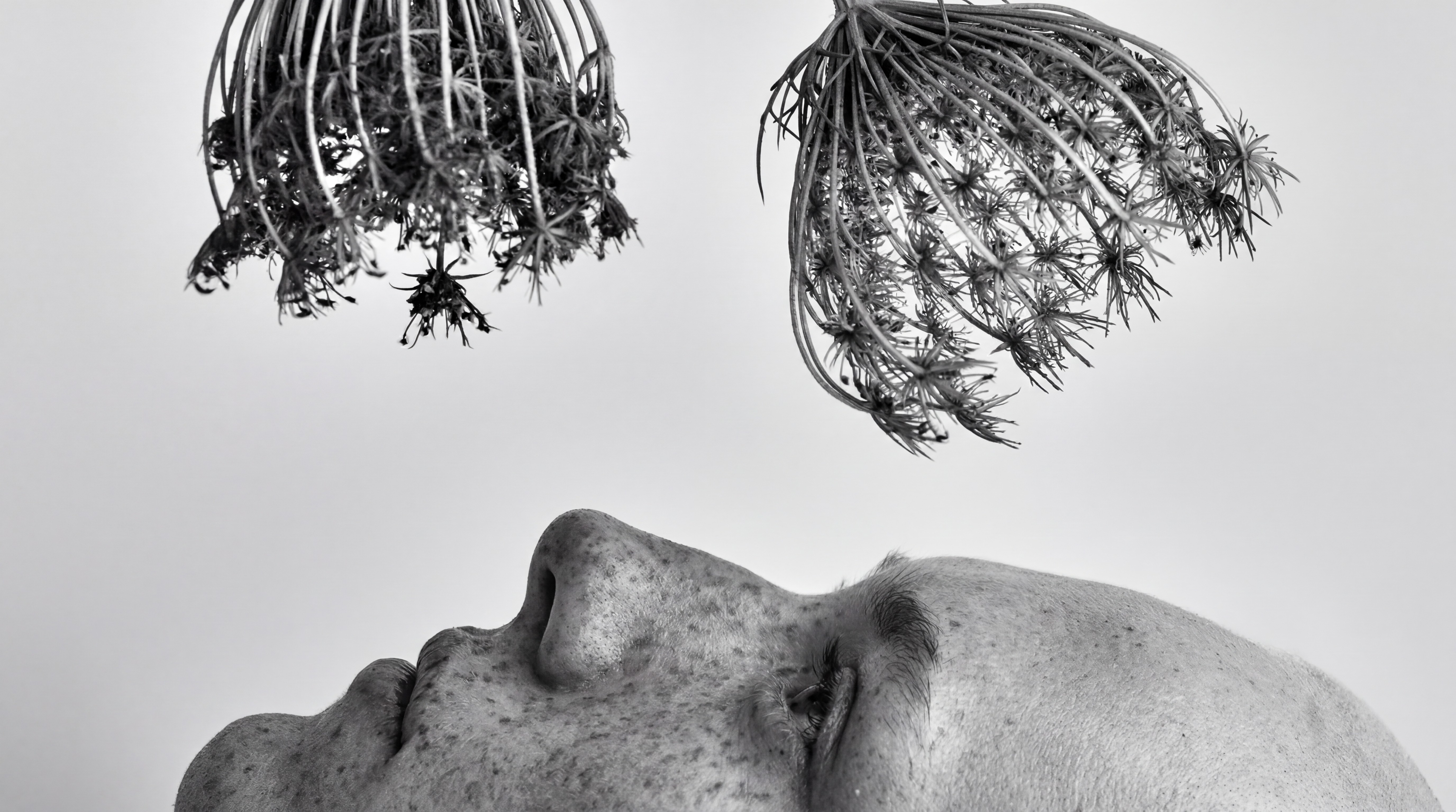 Street Art Stories Cover