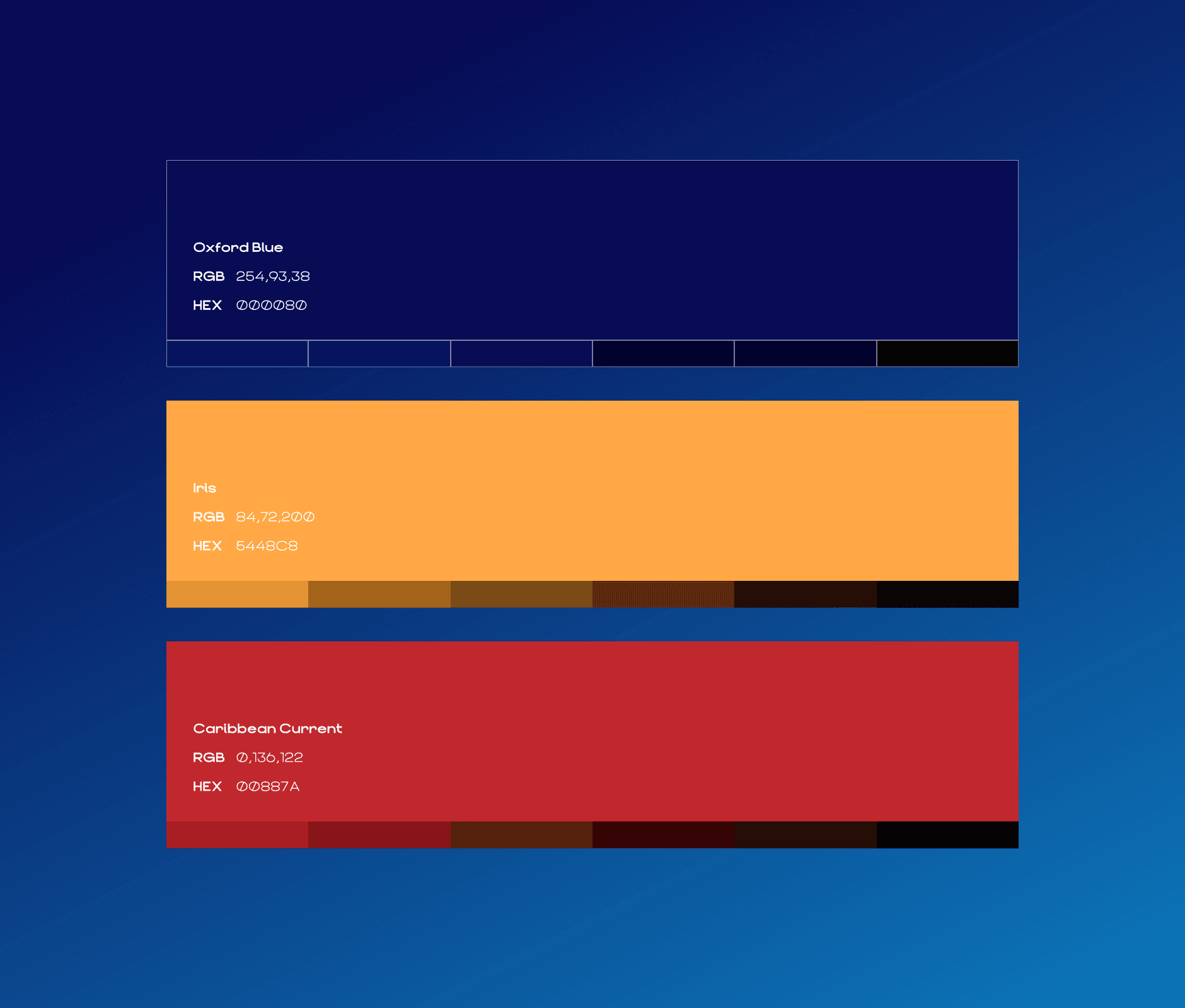 Large Project Gallery Image #2