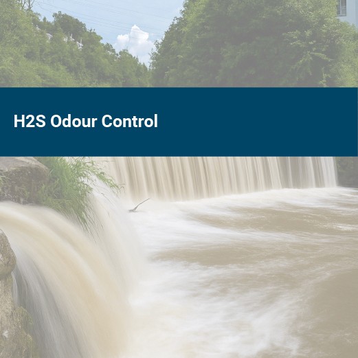 h2s odour control with ecosbr process