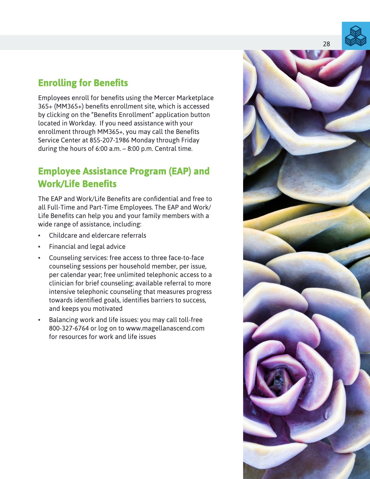 Aegis Therapies v2-28